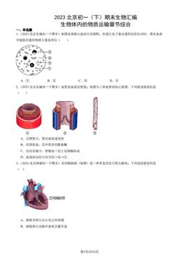 2023北京初一（下）期末生物汇编：生物体内的物质运输章节综合-答案