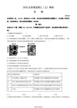 2025北京海淀高三（上）期末生物（教师版）-答案