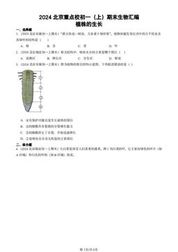 2024北京重点校初一（上）期末生物汇编：植株的生长-答案