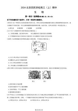 2024北京回民学校高三（上）期中生物（教师版）-答案