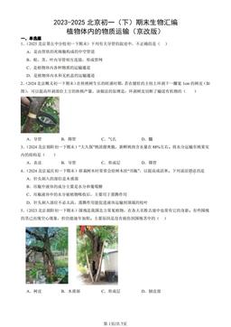 2023-2025北京初一（下）期末生物汇编：植物体内的物质运输（京改版）-答案