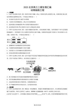 2023北京高三二模生物汇编：动物细胞工程-答案