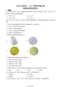 2025北京初一（上）期末生物汇编：植物体的结构层次-答案