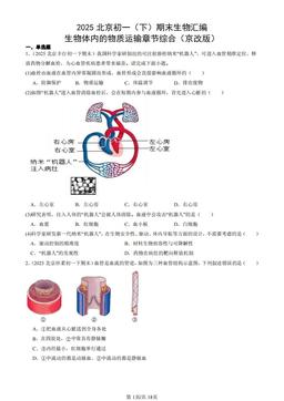 2025北京初一（下）期末生物汇编：生物体内的物质运输章节综合（京改版）-答案