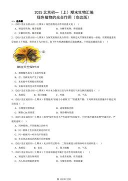 2025北京初一（上）期末生物汇编：绿色植物的光合作用（京改版）-答案