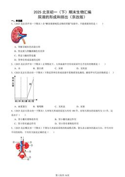 2025北京初一（下）期末生物汇编：尿液的形成和排出（京改版）-答案