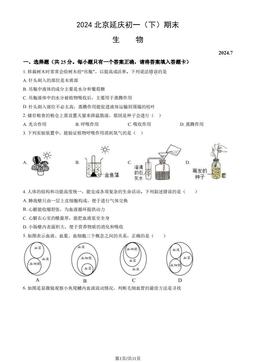 2024北京延庆初一（下）期末生物（教师版）-答案