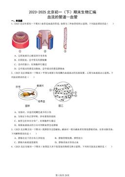 2023-2025北京初一（下）期末生物汇编：血流的管道—血管-答案