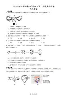 2023-2025北京重点校初一（下）期中生物汇编：人的生殖-答案