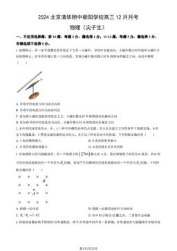 2024北京清华附中朝阳学校高三12月月考物理（尖子生）（教师版）-答案