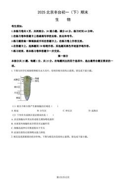 2025北京丰台初一（下）期末生物（教师版）-答案