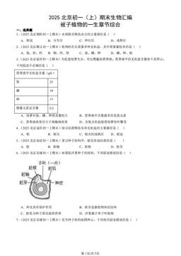 2025北京初一（上）期末生物汇编：被子植物的一生章节综合-答案