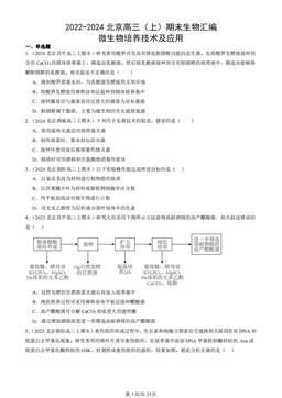 2022-2024北京高三（上）期末生物汇编：微生物培养技术及应用-答案