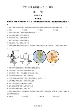 2023北京通州初一（上）期末生物（教师版）-答案