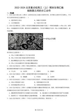 2022-2024北京重点校高三（上）期末生物汇编：细胞器之间的分工合作-答案