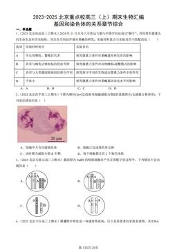 2023-2025北京重点校高三（上）期末生物汇编：基因和染色体的关系章节综合-答案