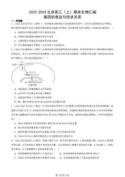 2022-2024北京高三（上）期末生物汇编：基因的表达与性状关系-答案