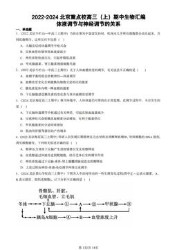 2022-2024北京重点校高三（上）期中生物汇编：体液调节与神经调节的关系-答案