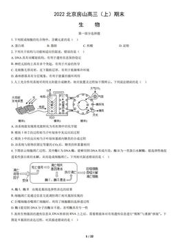 2022北京房山高三（上）期末生物（教师版）-答案