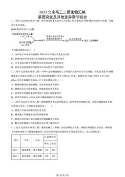 2023北京高三二模生物汇编：基因突变及其他变异章节综合-答案