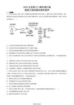 2023北京高三二模生物汇编：基因工程的基本操作程序-答案