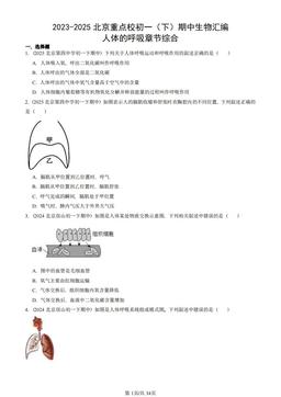 2023-2025北京重点校初一（下）期中生物汇编：人体的呼吸章节综合-答案