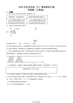 2025北京五年级（上）期末数学汇编：作图题（人教版）-答案