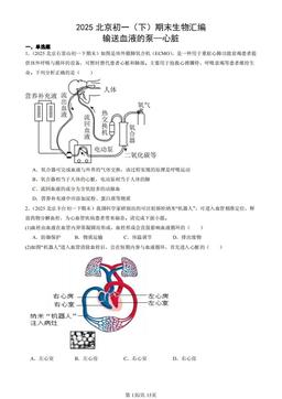 2025北京初一（下）期末生物汇编：输送血液的泵—心脏-答案