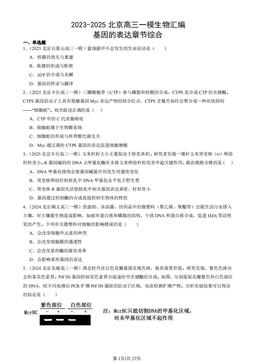 2023-2025北京高三一模生物汇编：基因的表达章节综合-答案
