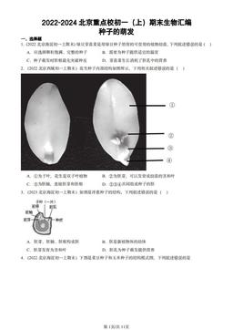 2022-2024北京重点校初一（上）期末生物汇编：种子的萌发-答案