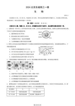 2024北京东城高三一模生物（教师版）-答案