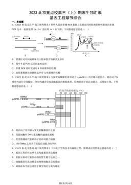 2023北京重点校高三（上）期末生物汇编：基因工程章节综合-答案