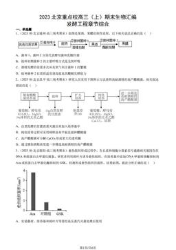 2023北京重点校高三（上）期末生物汇编：发酵工程章节综合-答案