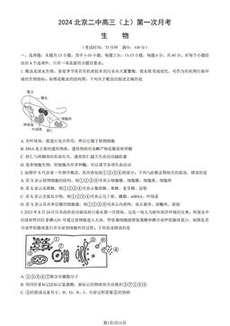 2024北京二中高三（上）第一次月考生物（教师版）-答案