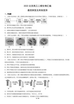 2022北京高三二模生物汇编：基因突变及其他变异-答案