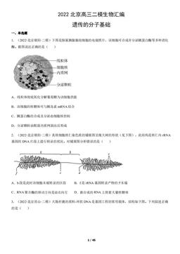 2022北京高三二模生物汇编：遗传的分子基础-答案