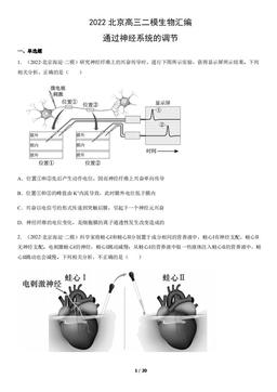 2022北京高三二模生物汇编：通过神经系统的调节-答案