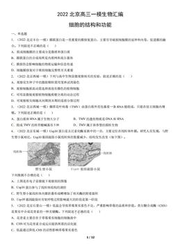 2022北京高三一模生物汇编：细胞的结构和功能-答案