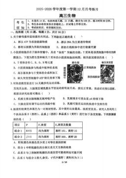 2025北京海淀进修学校高三12月月考生物-试题