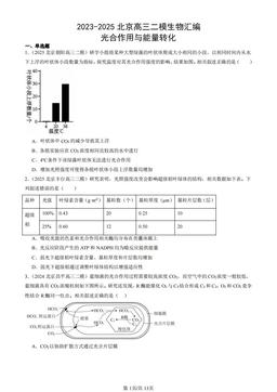2023-2025北京高三二模生物汇编：光合作用与能量转化-答案