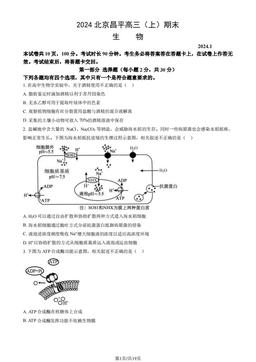 2024北京昌平高三（上）期末生物（教师版）-答案
