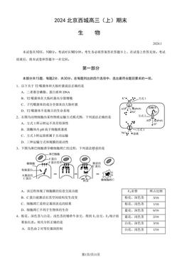 2024北京西城高三（上）期末生物（教师版）-答案