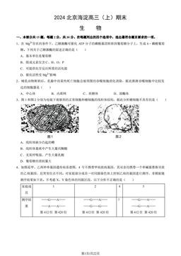 2024北京海淀高三（上）期末生物（教师版）-答案