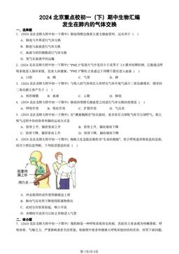 2024北京重点校初一（下）期中生物汇编：发生在肺内的气体交换-答案