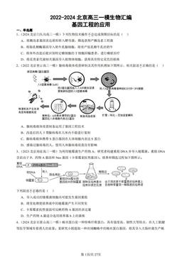 2022-2024北京高三一模生物汇编：基因工程的应用-答案