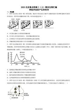 2023北京重点校高三（上）期末生物汇编：神经冲动的产生和传导-答案