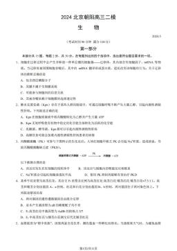 2024北京朝阳高三二模生物（教师版）-答案
