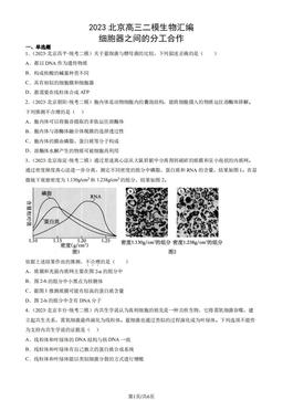 2023北京高三二模生物汇编：细胞器之间的分工合作-答案