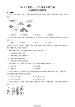 2025北京初一（上）期末生物汇编：动物体的结构层次-答案