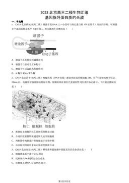 2023北京高三二模生物汇编：基因指导蛋白质的合成-答案